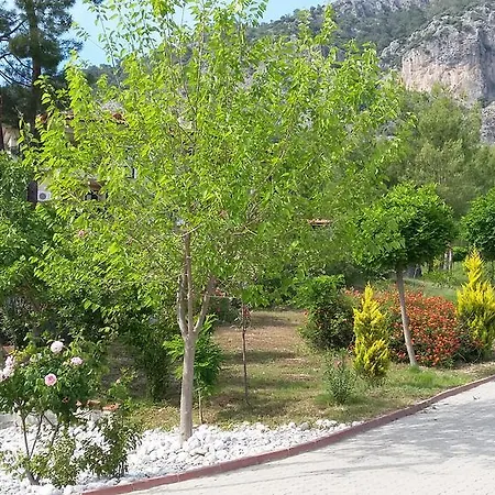 Teras Life Göcek