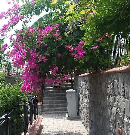 Teras Life Lejlighed Göcek