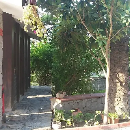 Teras Life Göcek